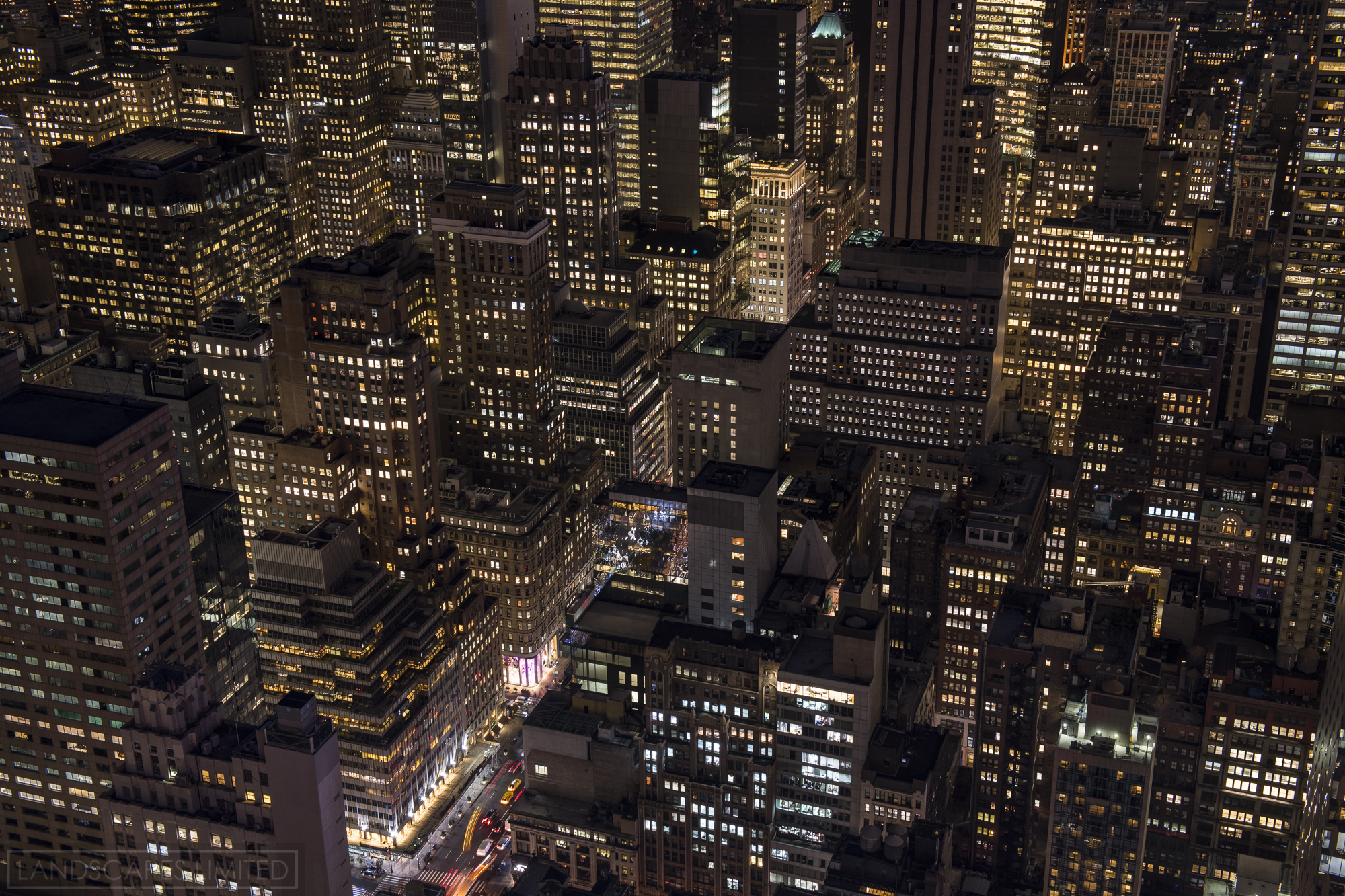 Nightlife (1 of 1).jpg