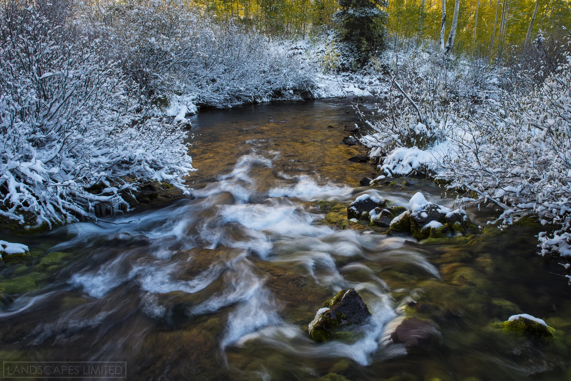 Backwater (1 of 1).jpg
