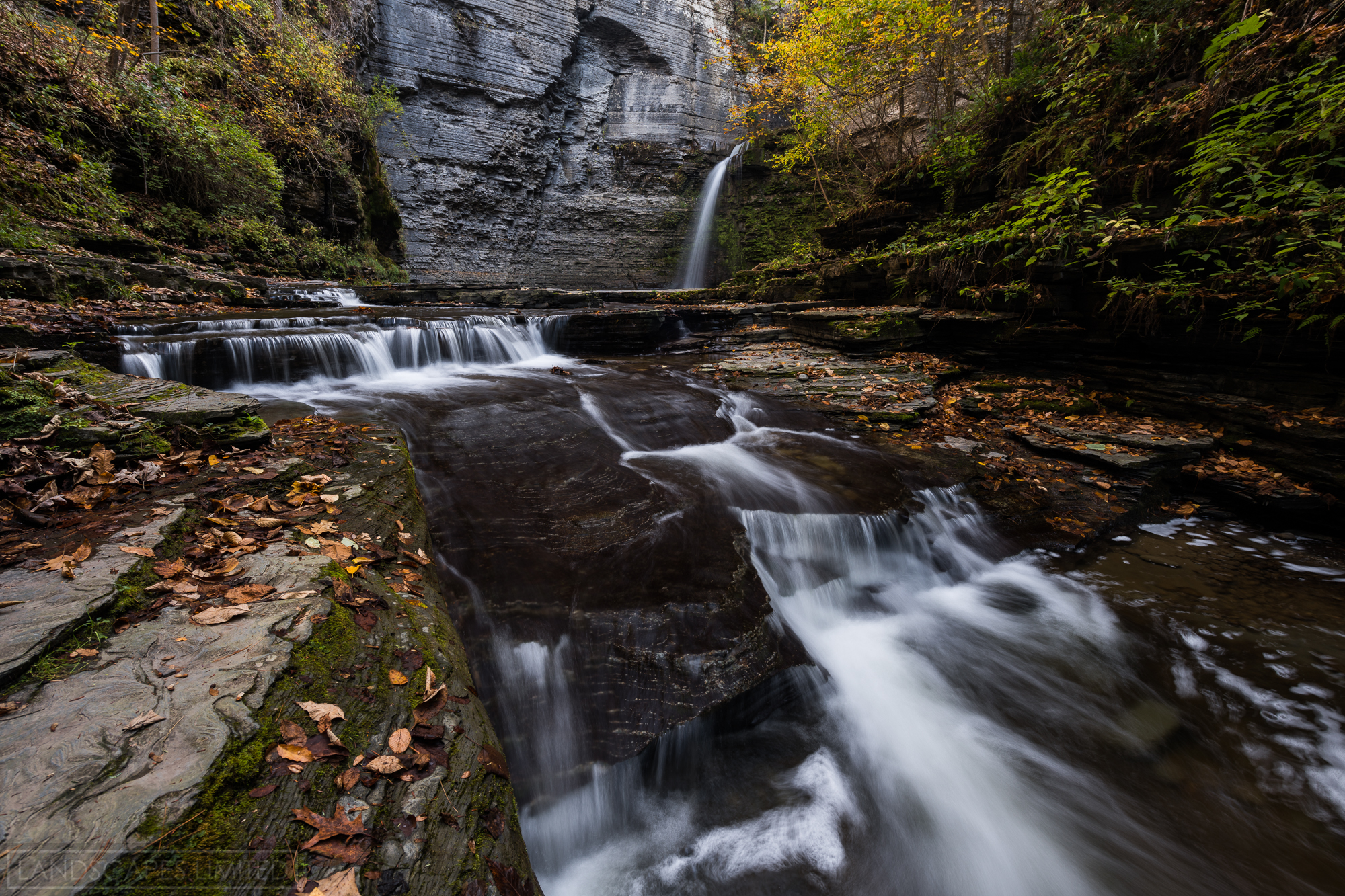 Havana Glen