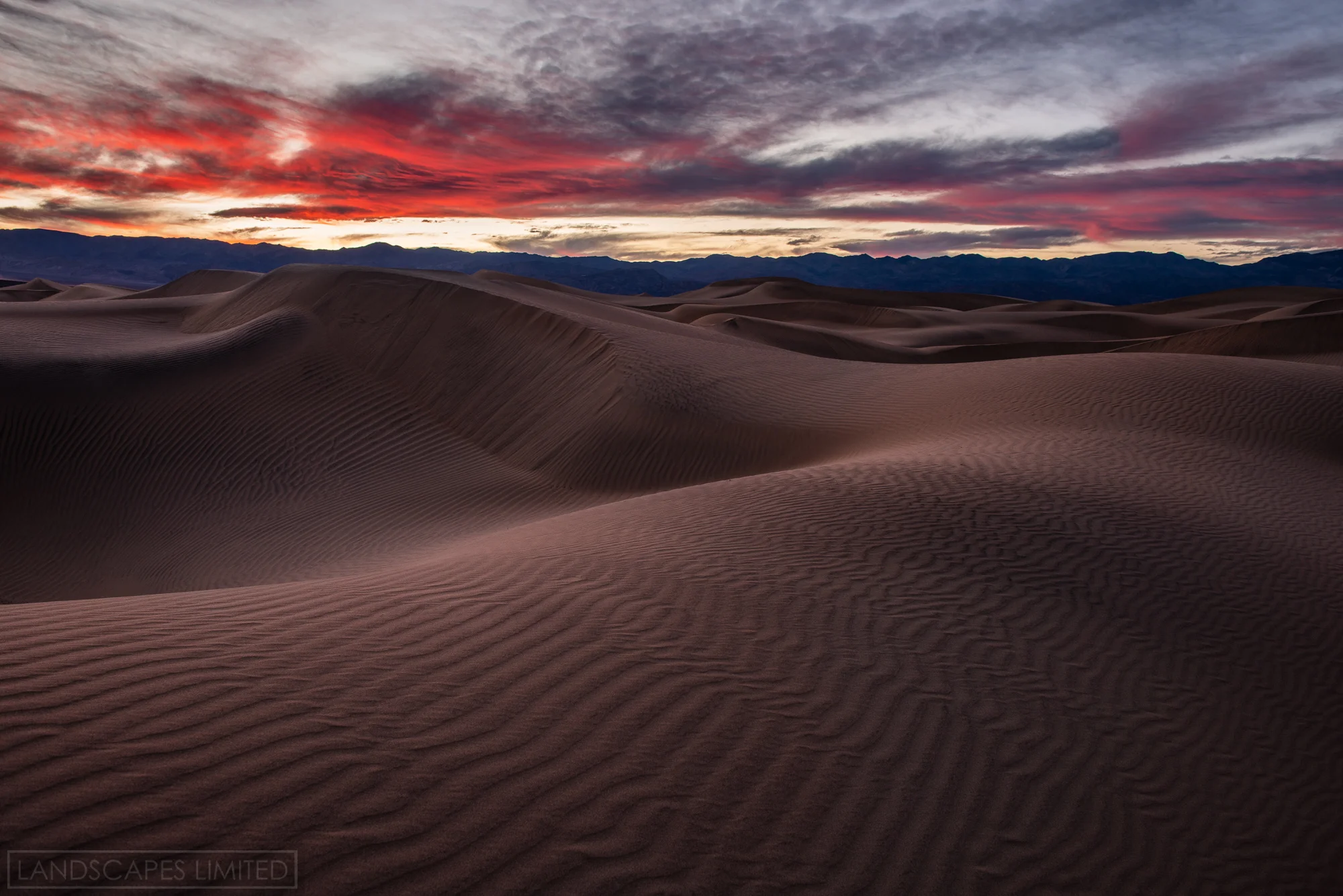 Dusk Dunes