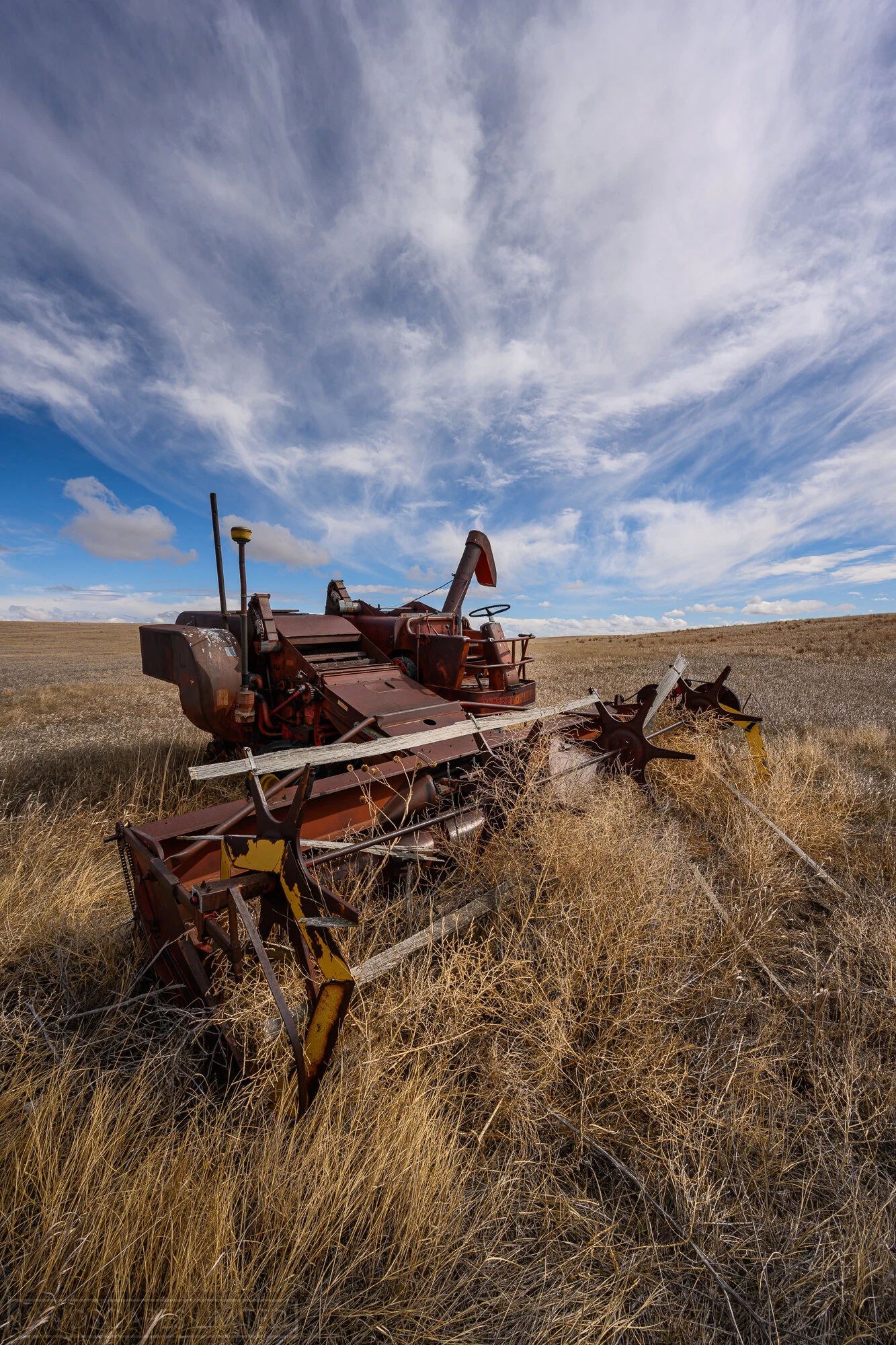 Harvest Time (1 of 1).jpg