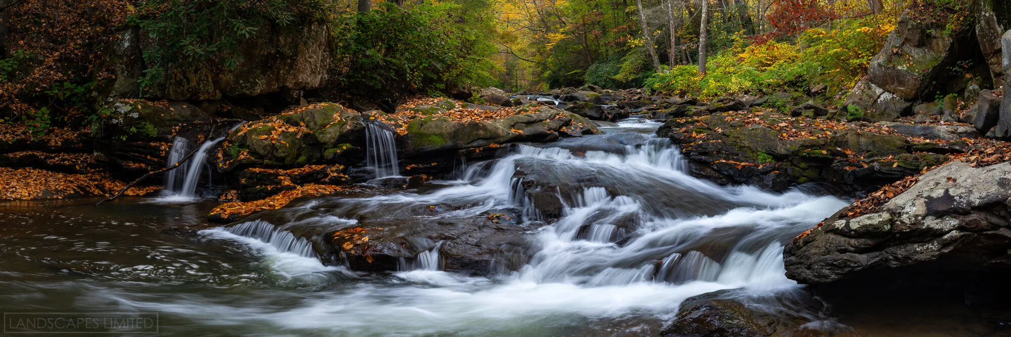 Appalachia (1 of 1).jpg
