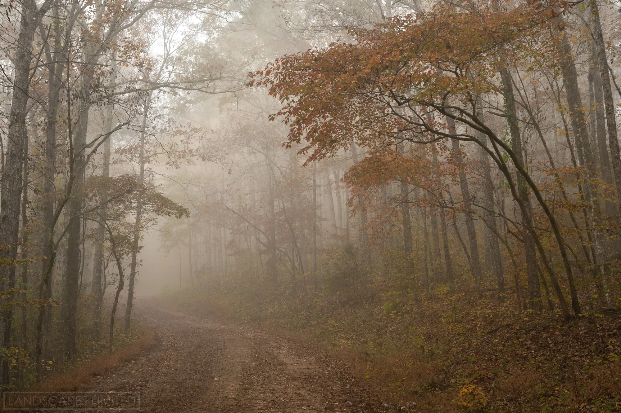 Misty Mountain.jpg