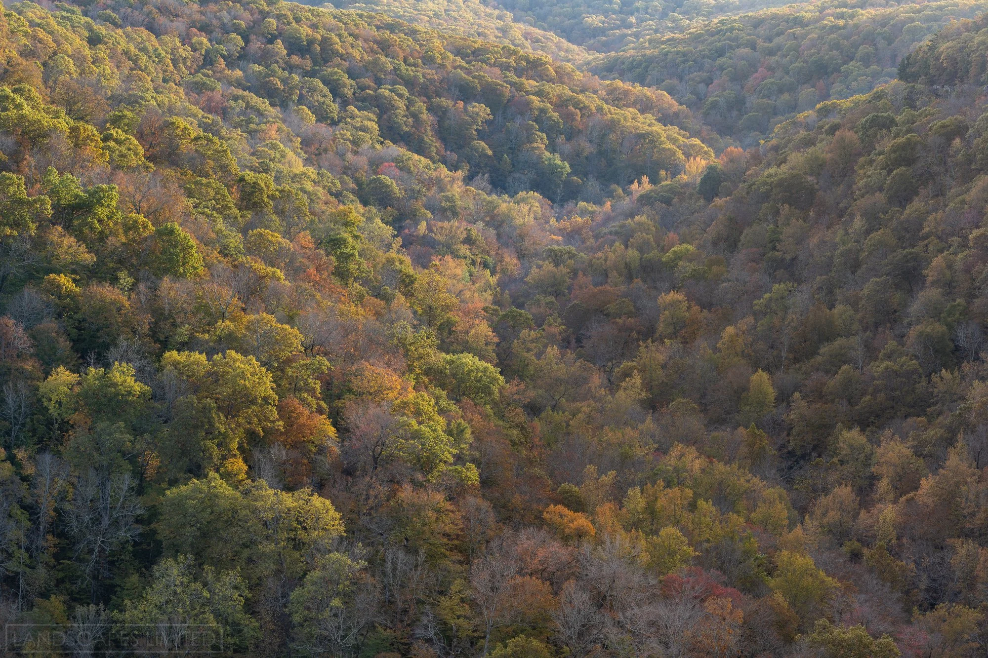 Pastel Valley.jpg