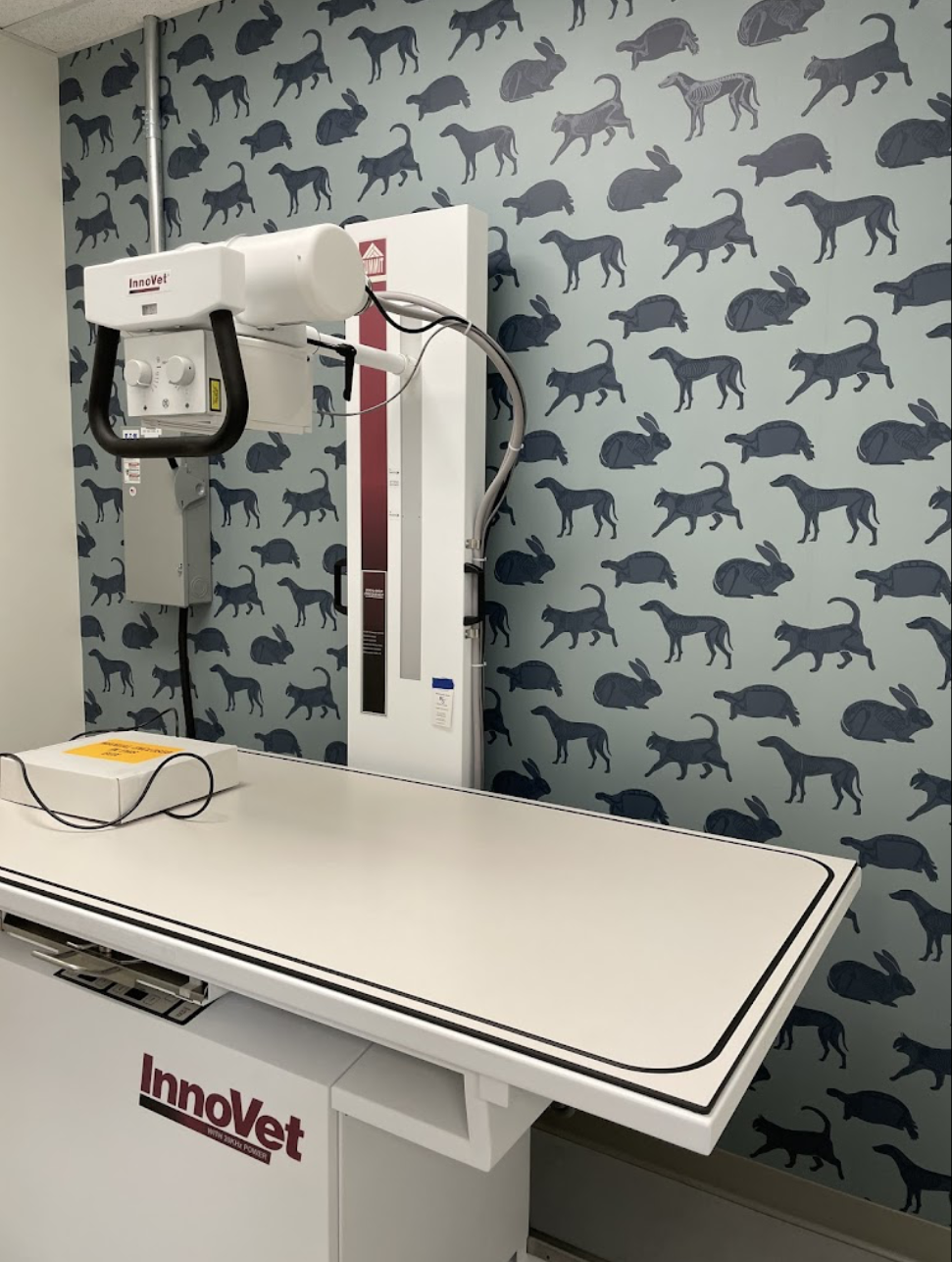 Screen Shot 2022-10-21 at 11.06.58 AM copy.png