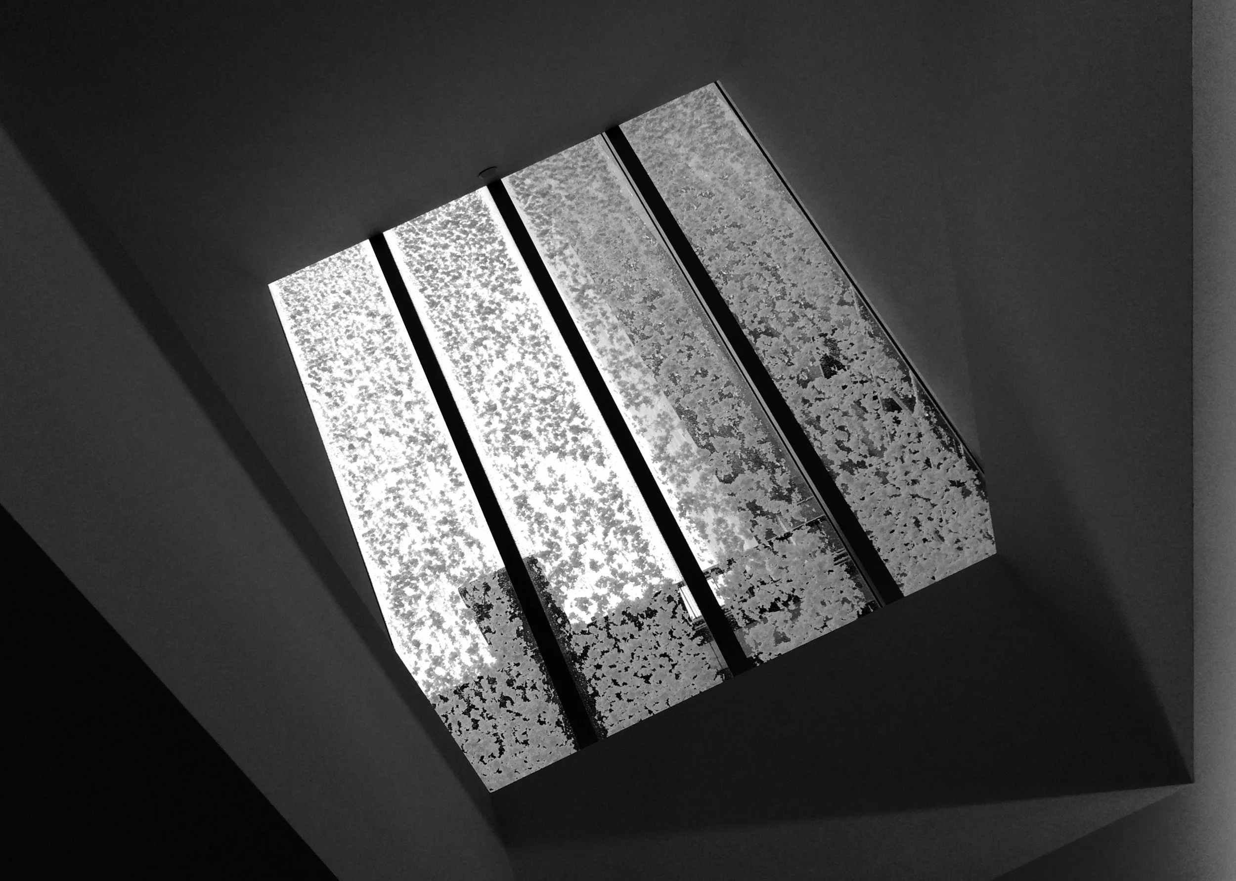 snowflakes1