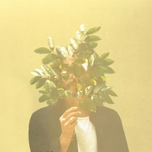 French Kiwi Juice. FKJ.