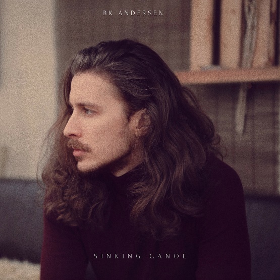 Review: Sinking Canoe by BK Anderson