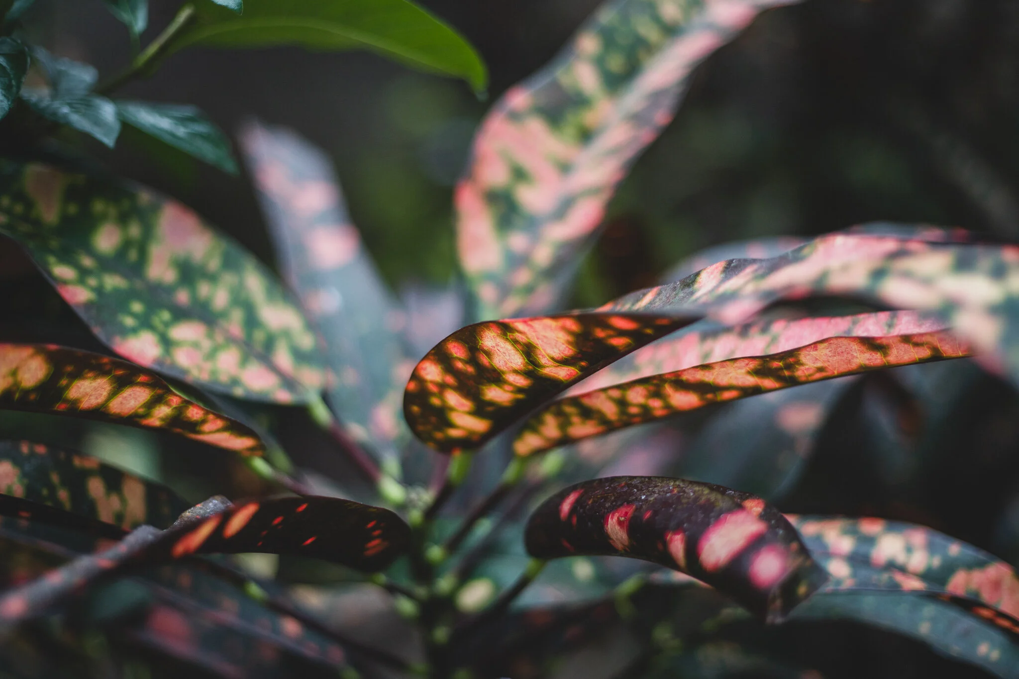 Article: A new decade of new music