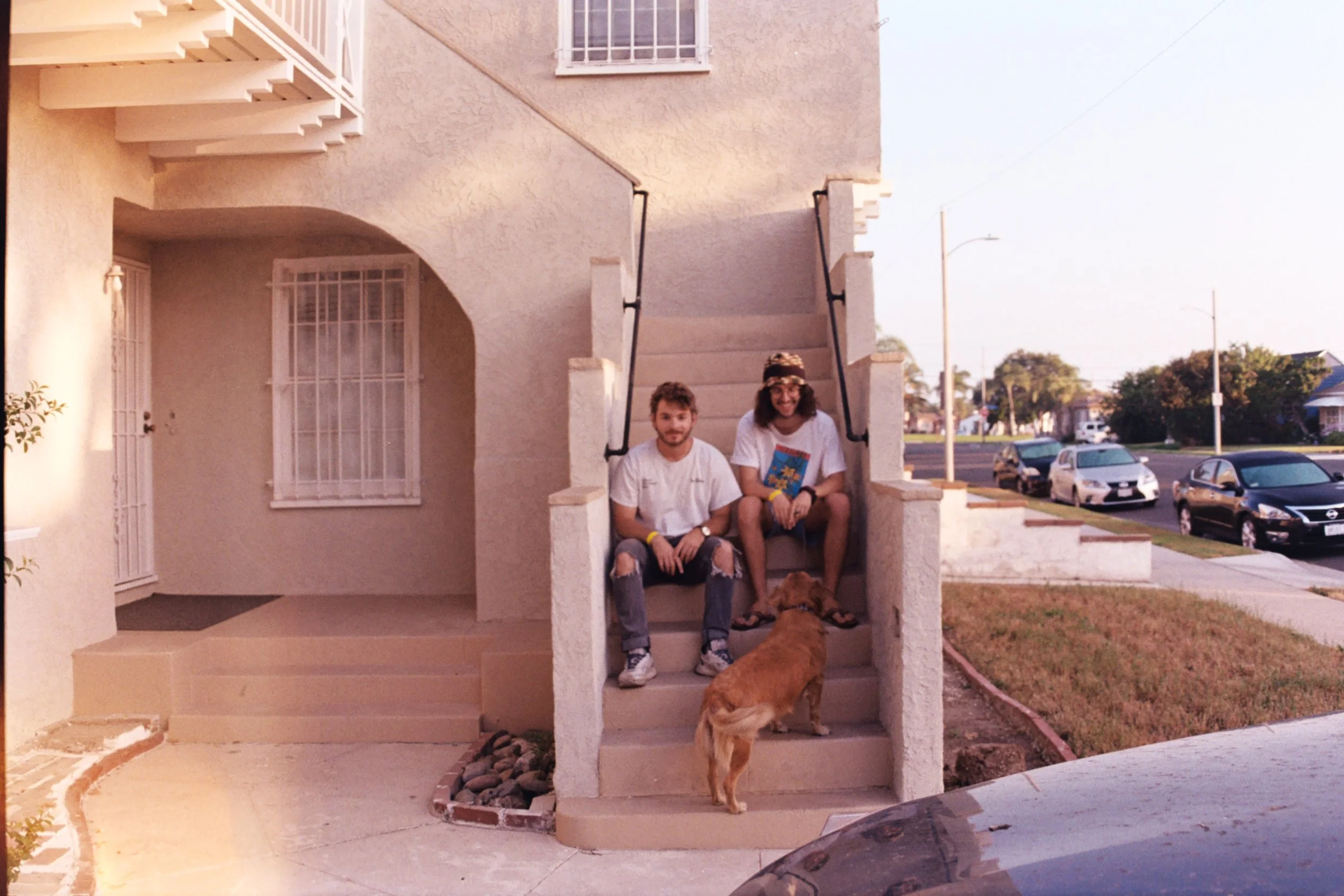 Happy Ears: Star Jasmine by goodtree