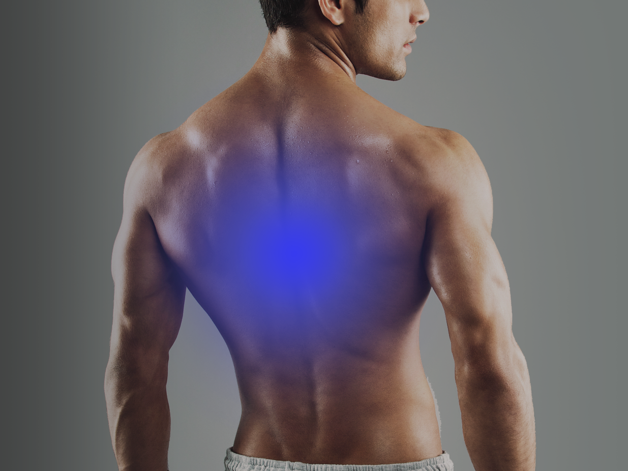 Mid-Back-image-2.png