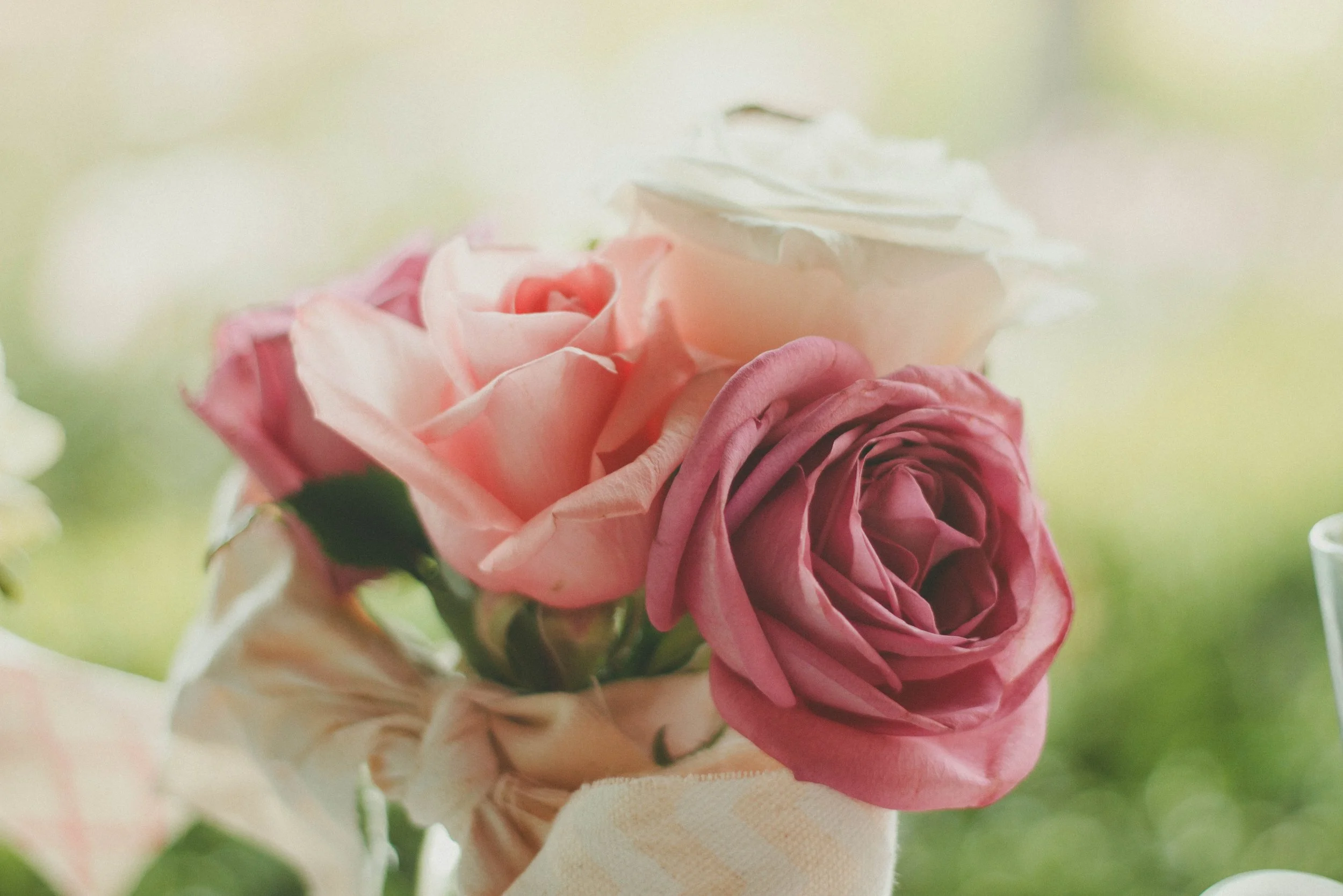 blossom-plant-photography-flower-petal-bouquet-113406-pxhere.com.jpg