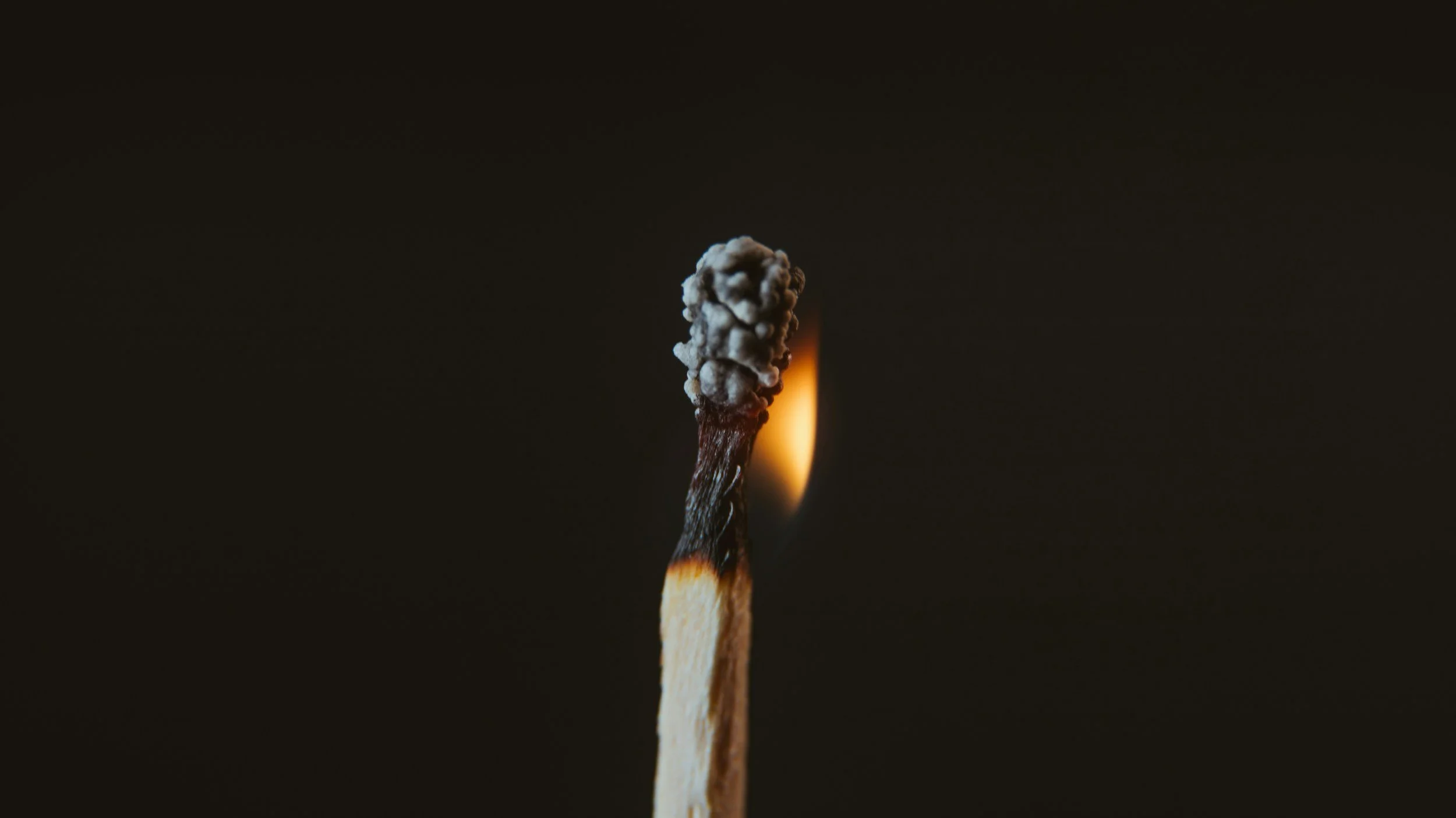 Burned Out or Just Stressed? How to Tell the Difference (and What to Do About It)