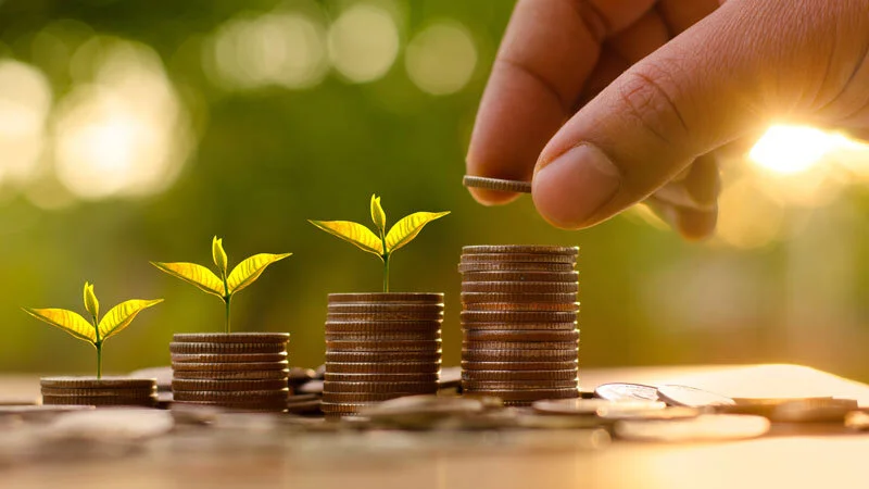 Five Landscaping Needs You May Be Overpaying For