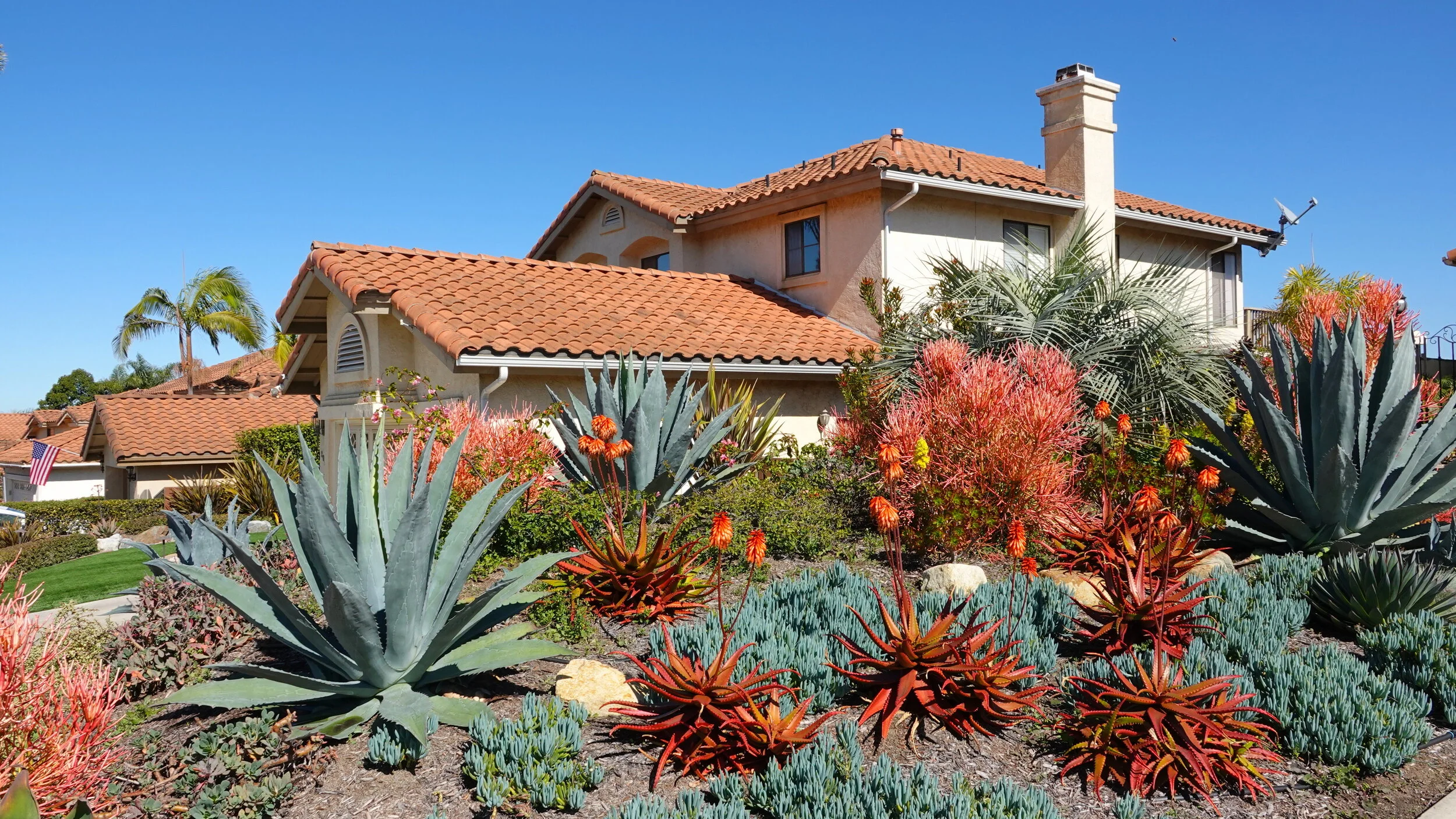 How to have a Diverse Landscape in Arizona without Looking Like Your Neighbor