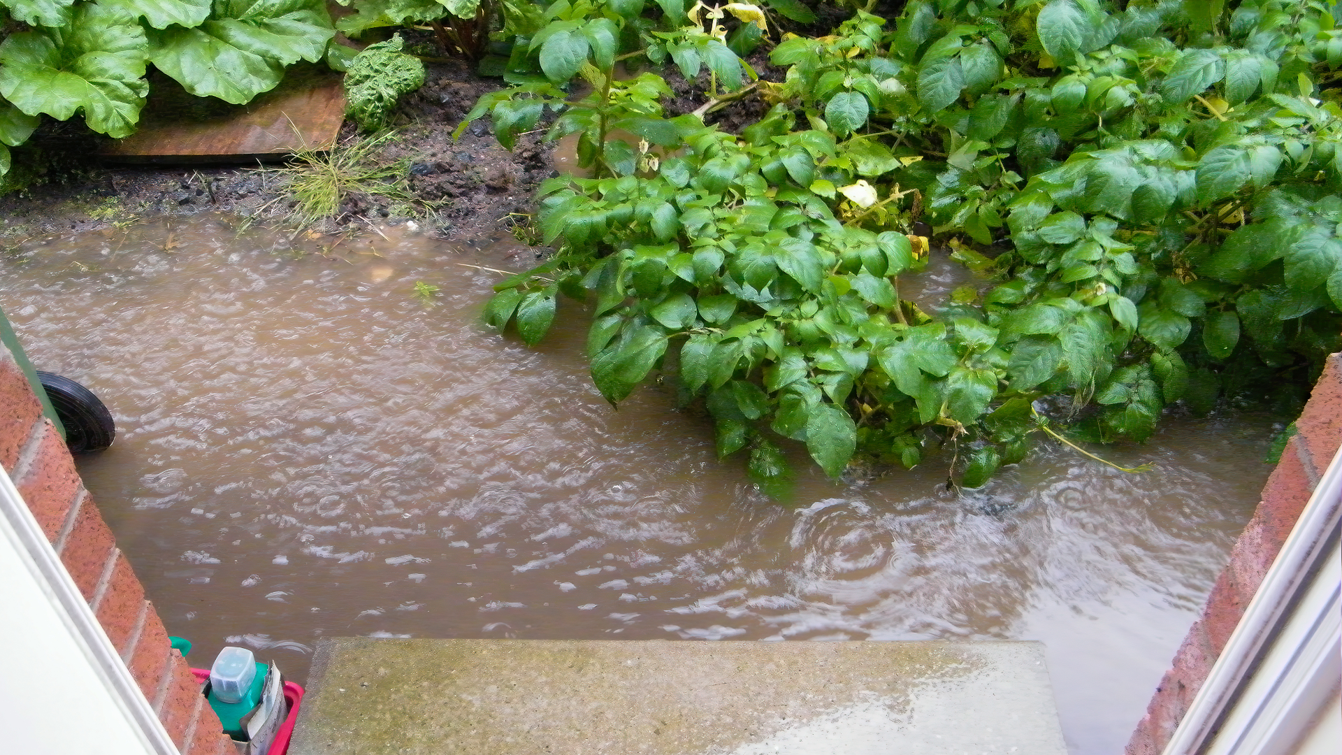 Why Grading and Drainage Matter in Arizona Landscaping