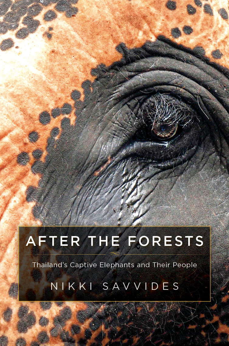 After The Forests - Paperback