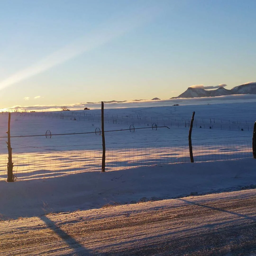 Looking at Mesa Verde National Park across snow covered hay fields, SW Colorado…
