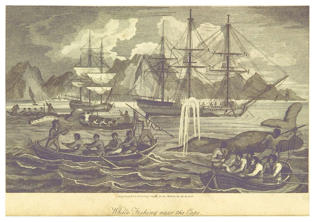 from wikicommons.com