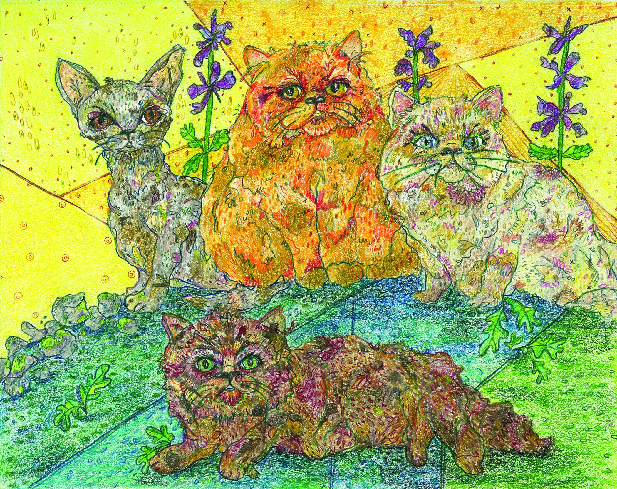 "Cushy Cat Quartet"