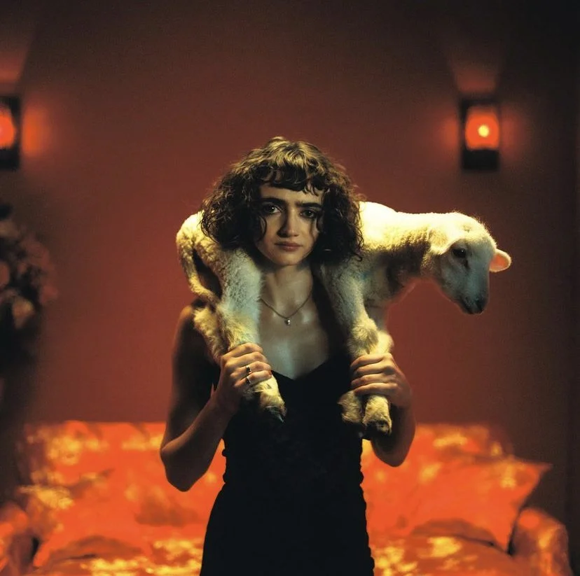 IMG_0365.jpg