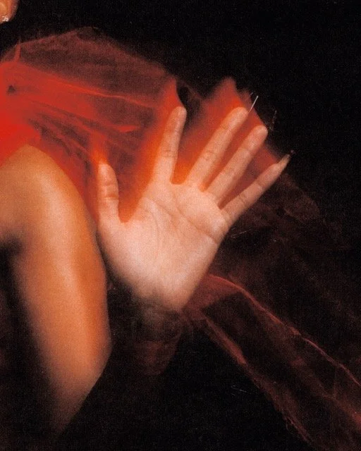 022525164 2 Medium.jpeg