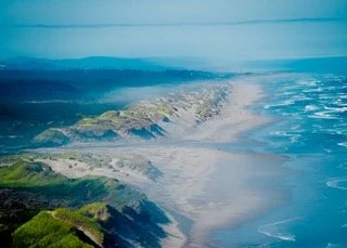 PCH_ManifestDes Small.jpeg