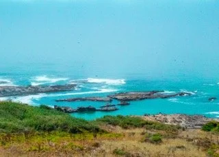 PCH_Transitions Small.jpeg