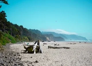 PCH_Driftwood Small.jpeg