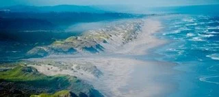 PCH_Manifest Small.jpeg