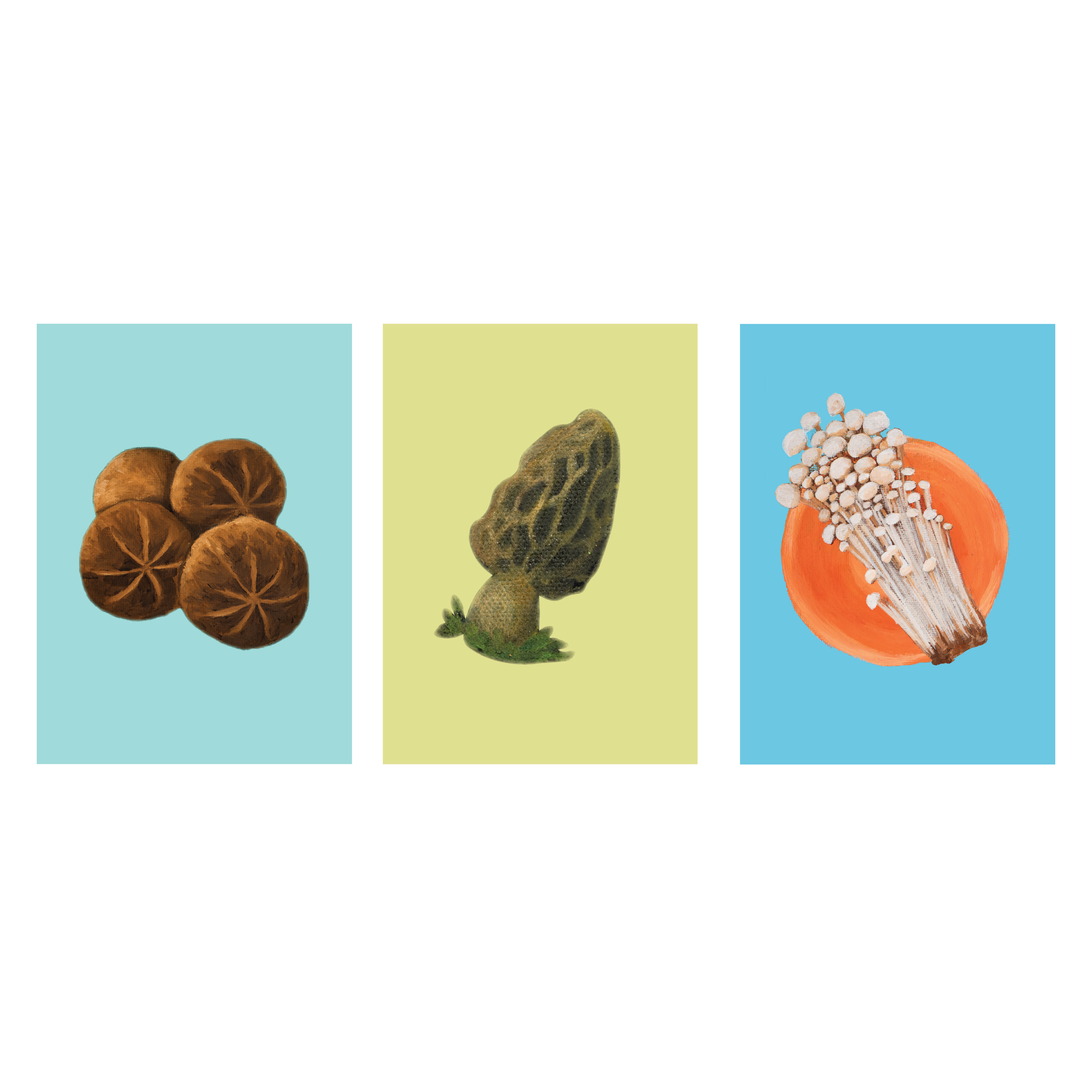 Bundles-08.png