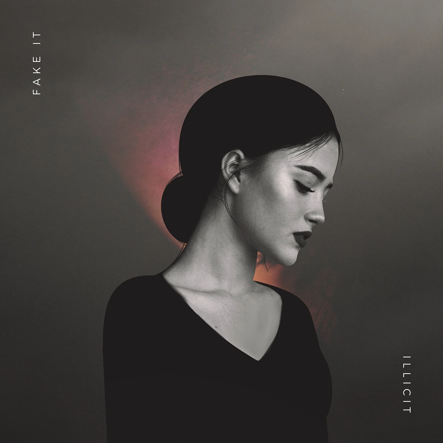Fake It.jpg