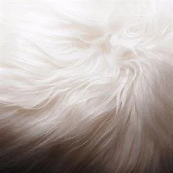 Miko Designs Designer Homewares - Icelandic Sheepskin Floor Rug in White.