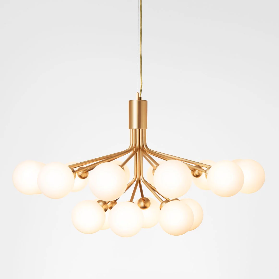 Apiales 18 Brushed Brass