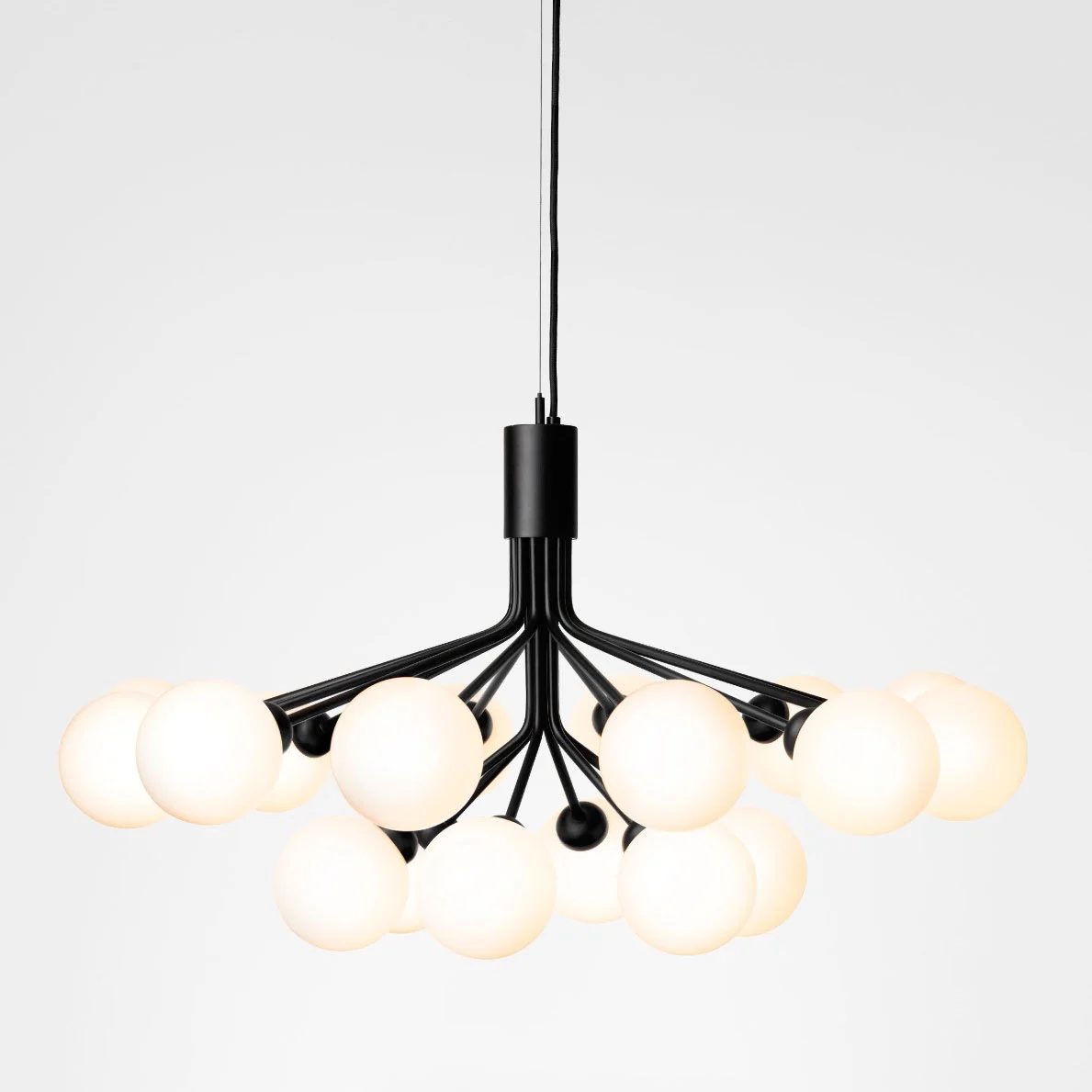 Apiales 18 Satin Black