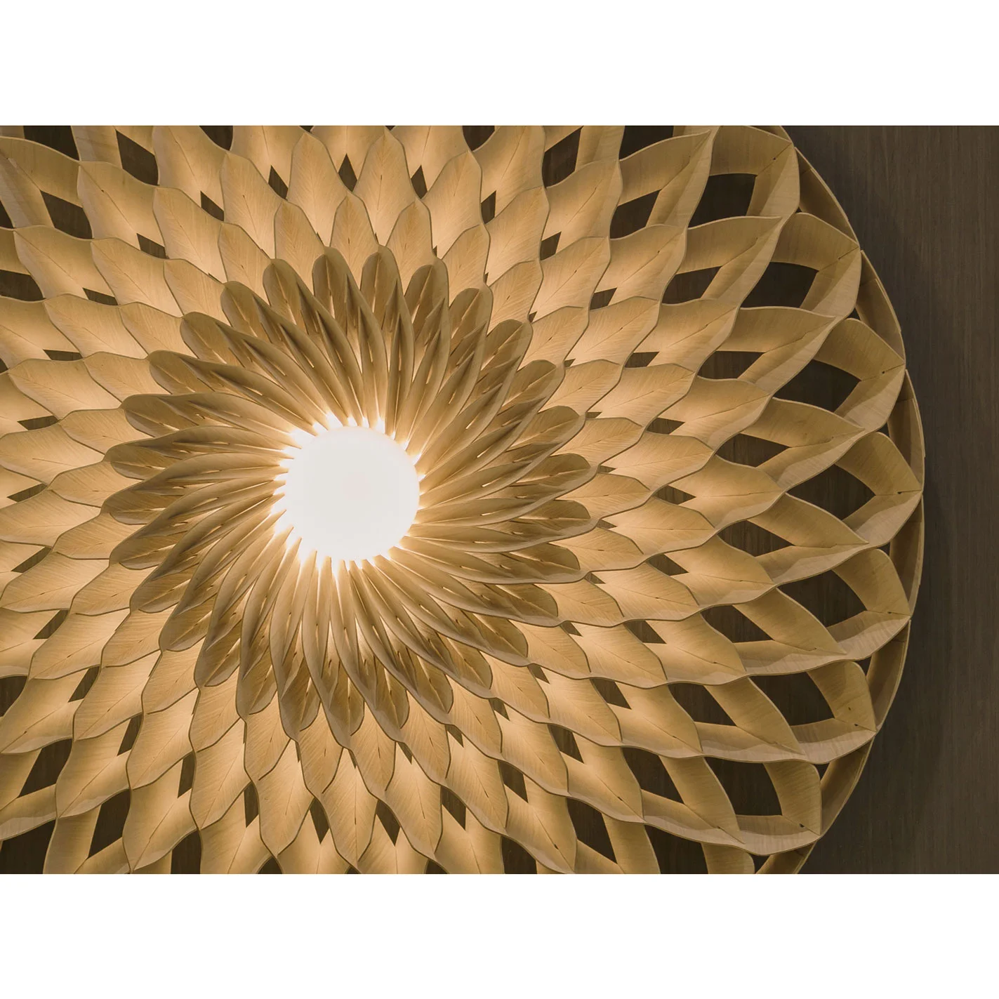 Miko Designs' Designer Furniture - Sun Wall Light by Copper Design.