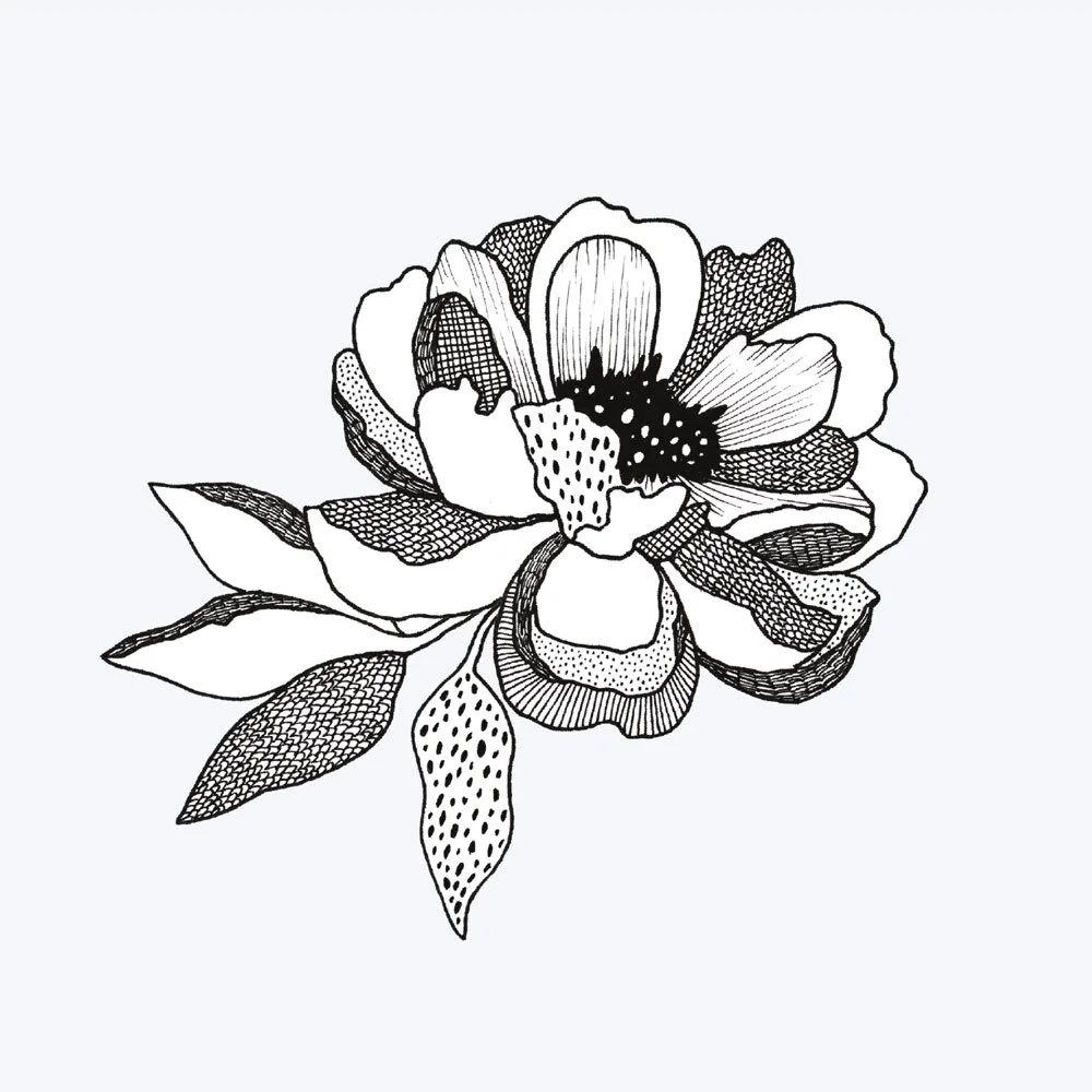 About Courtney Jayne