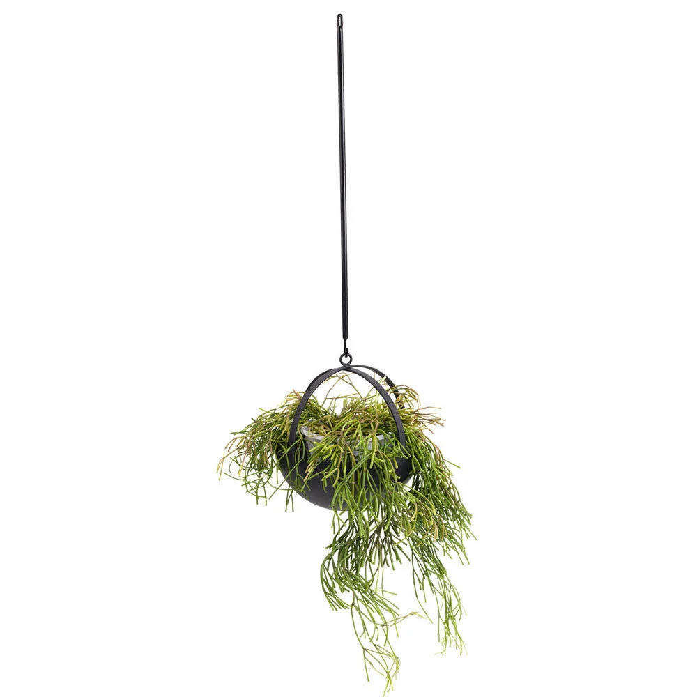 Miko Designs' Designer Homewares - Air Pom Pom by Ivy Muse
