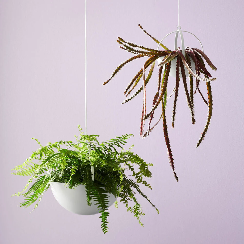 Miko Designs' Designer Homewares - Air Pom Pom by Ivy Muse