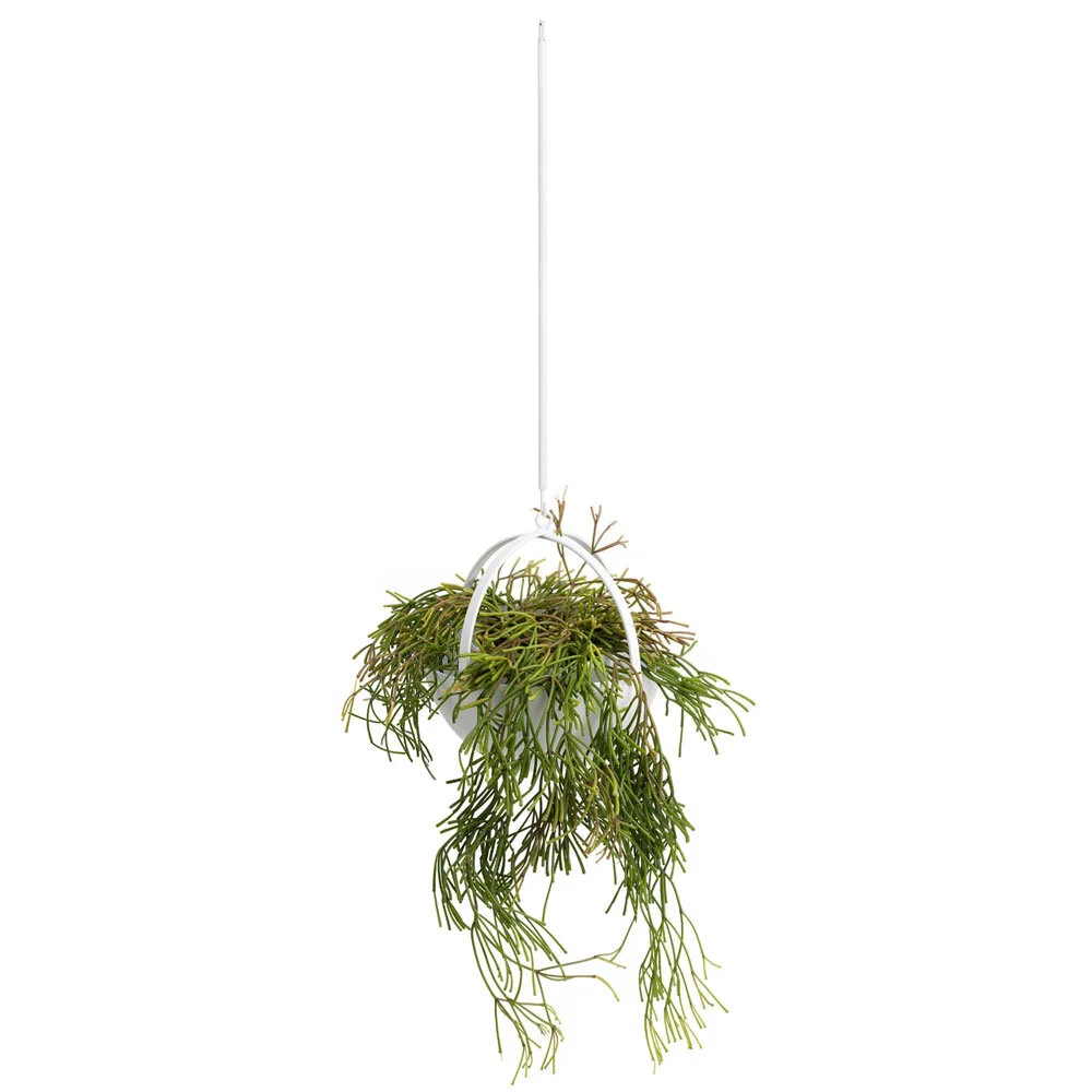 Miko Designs' Designer Homewares - Air Pom Pom by Ivy Muse