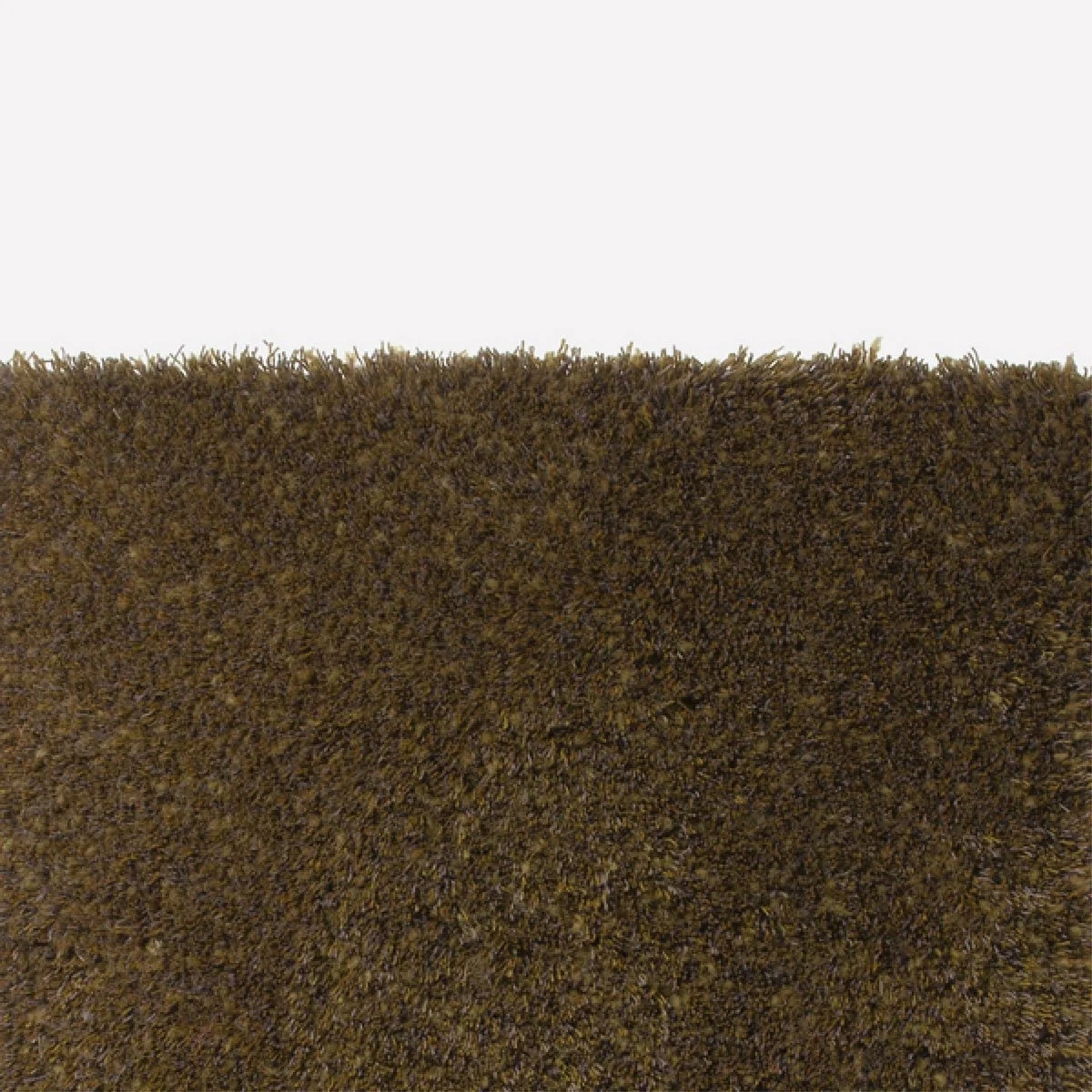 Surprise Rug