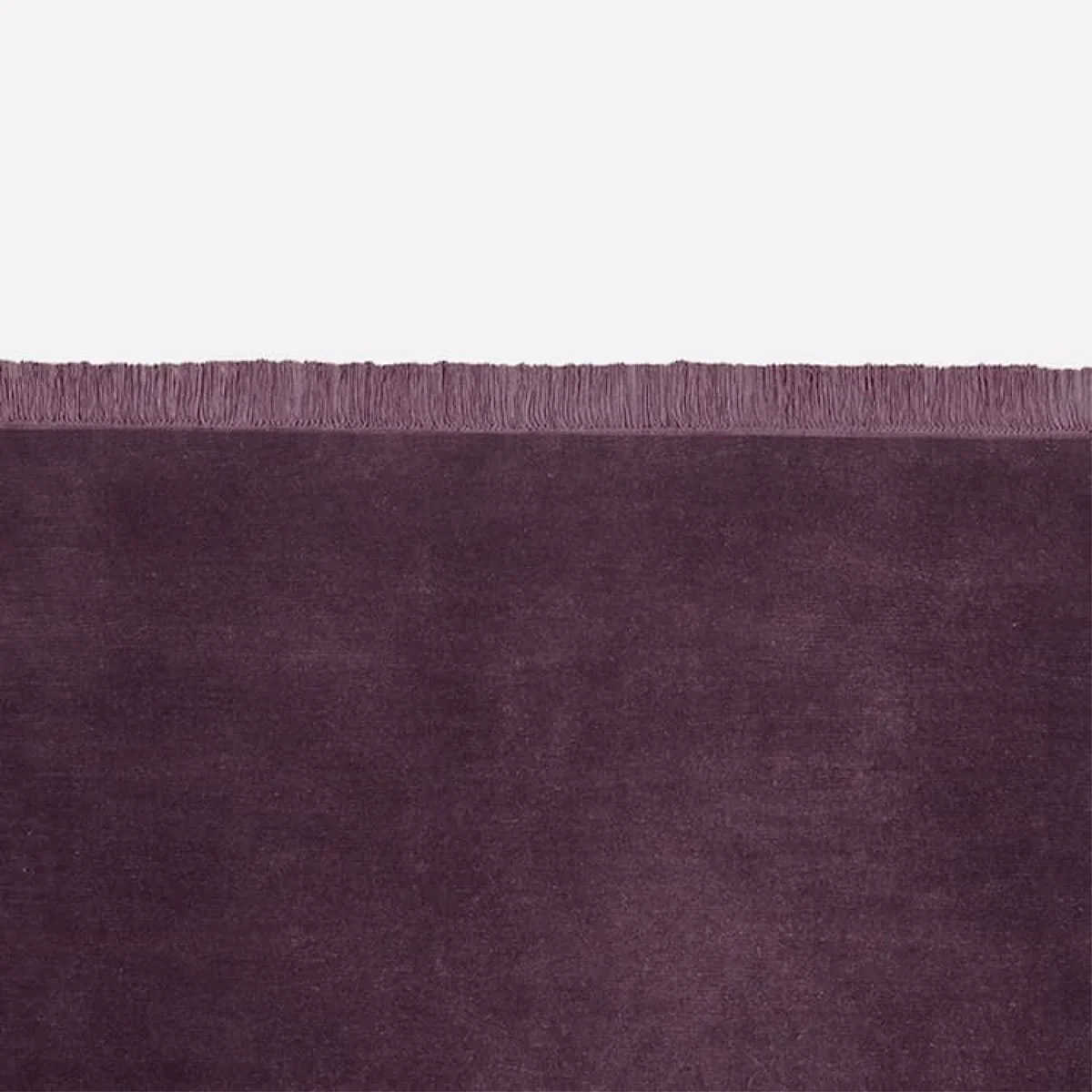 Icon Coloured Fringes Rug