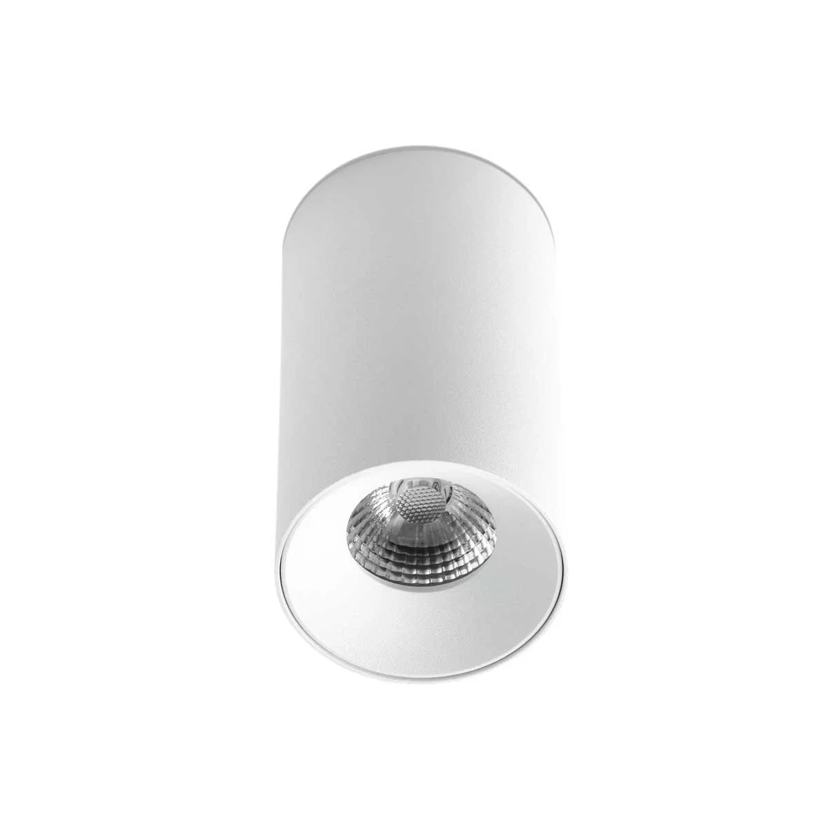 70 Caliber Surface Ceiling Light
