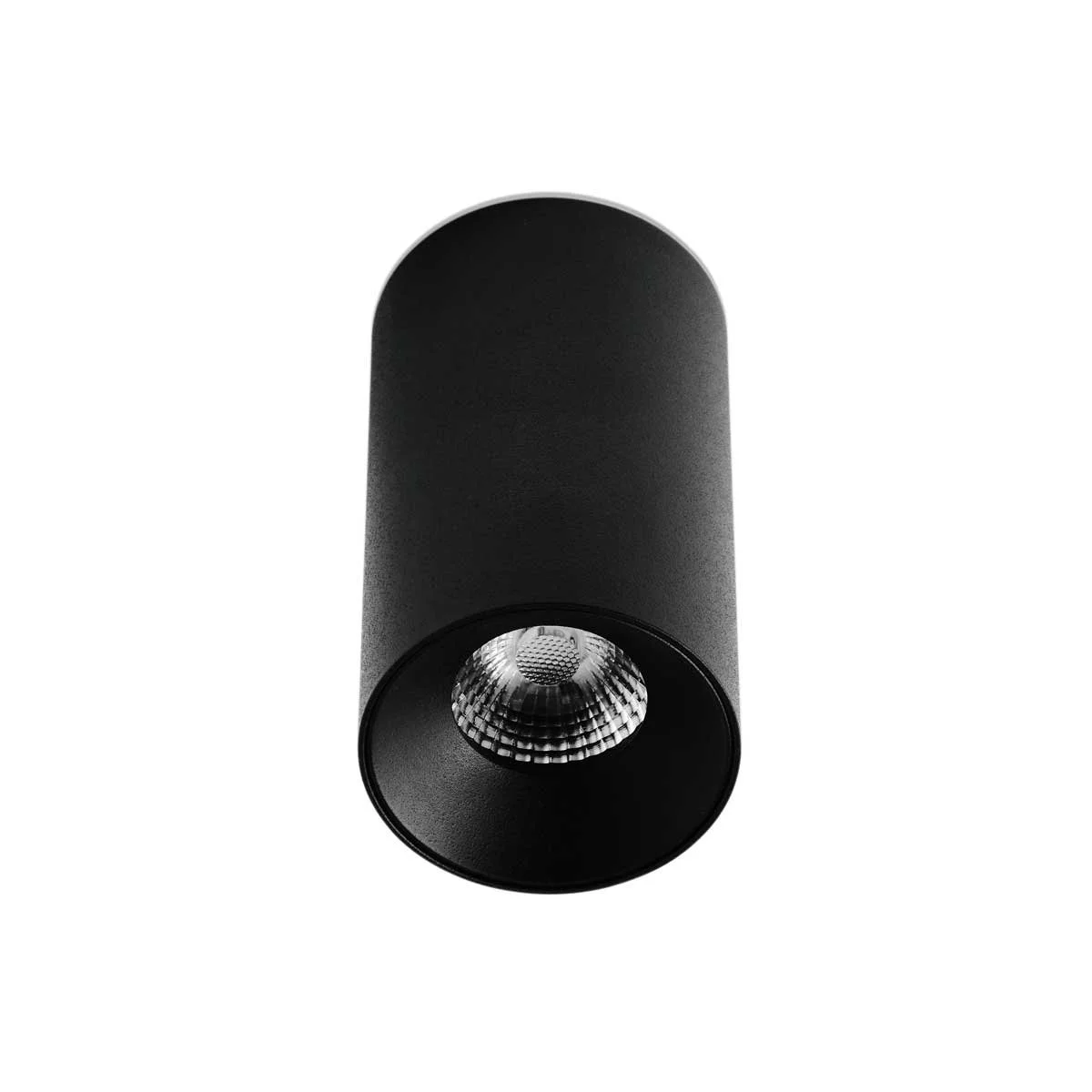 70 Caliber Surface Ceiling Light