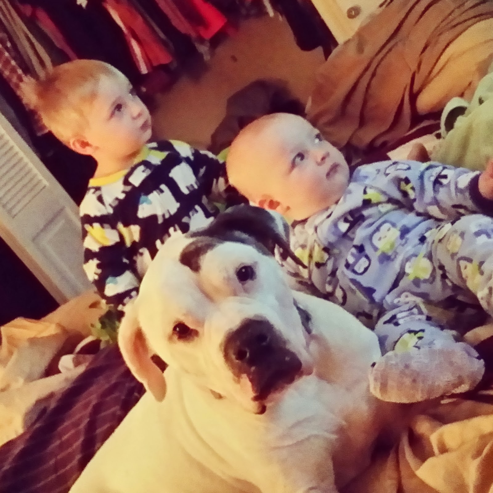 IMG_20131214_105609.jpg