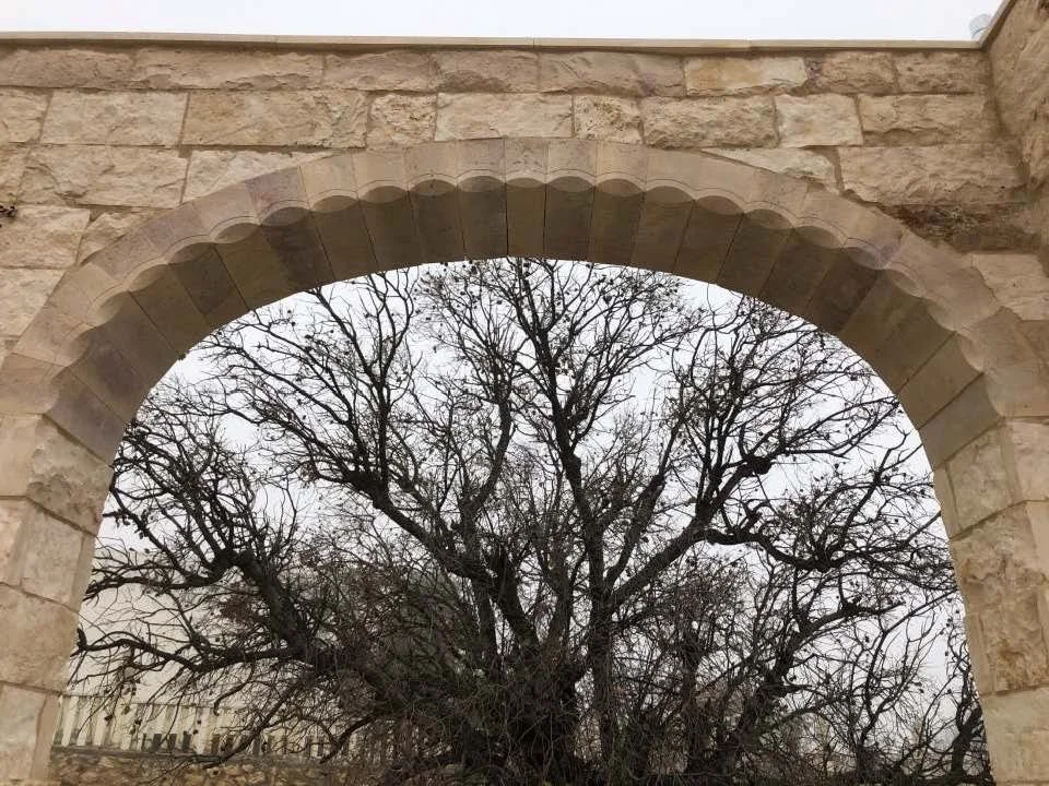 ماهر ابو سمرا_Page_100.jpg