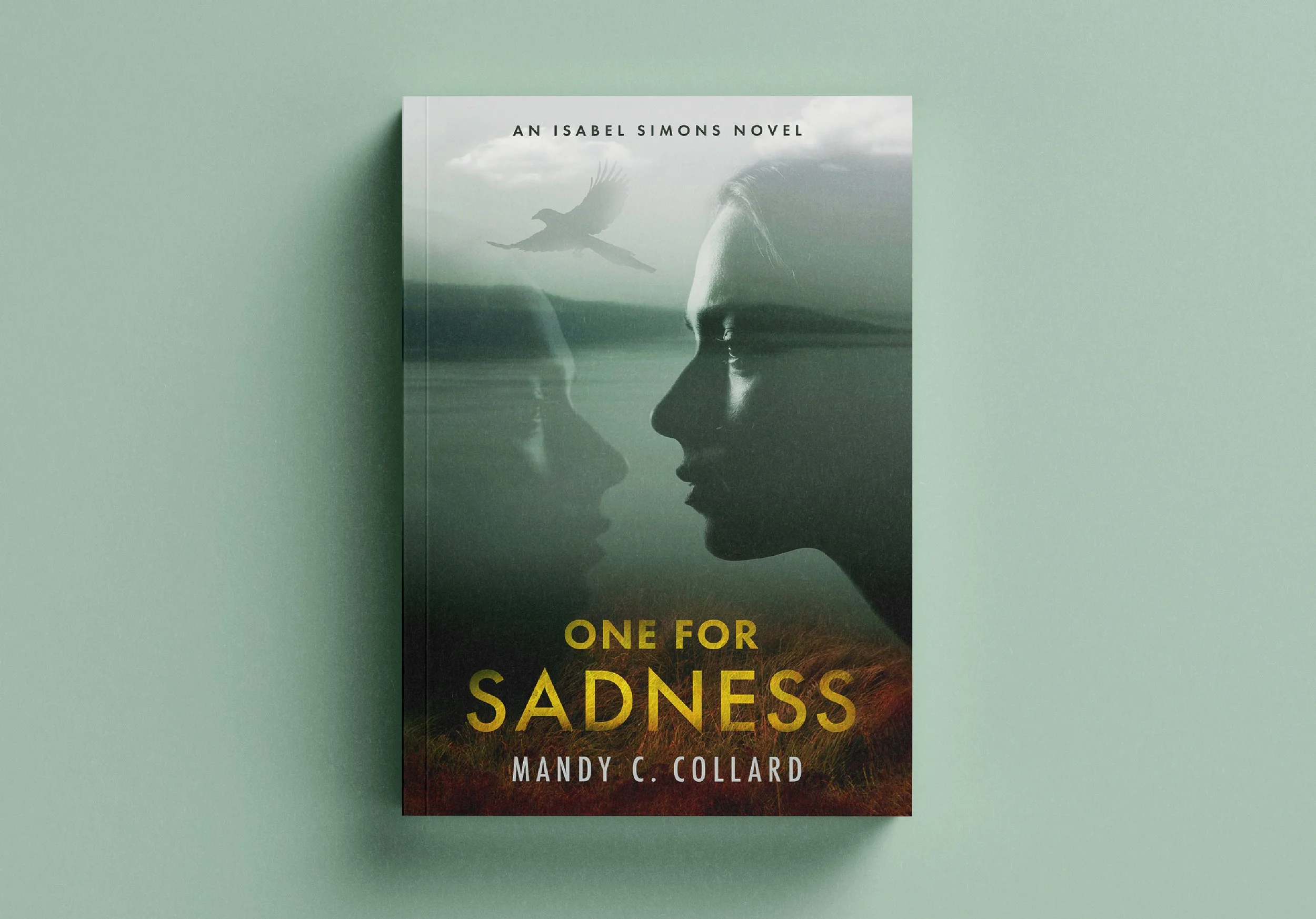 Book Mockup_OFS_2.jpg