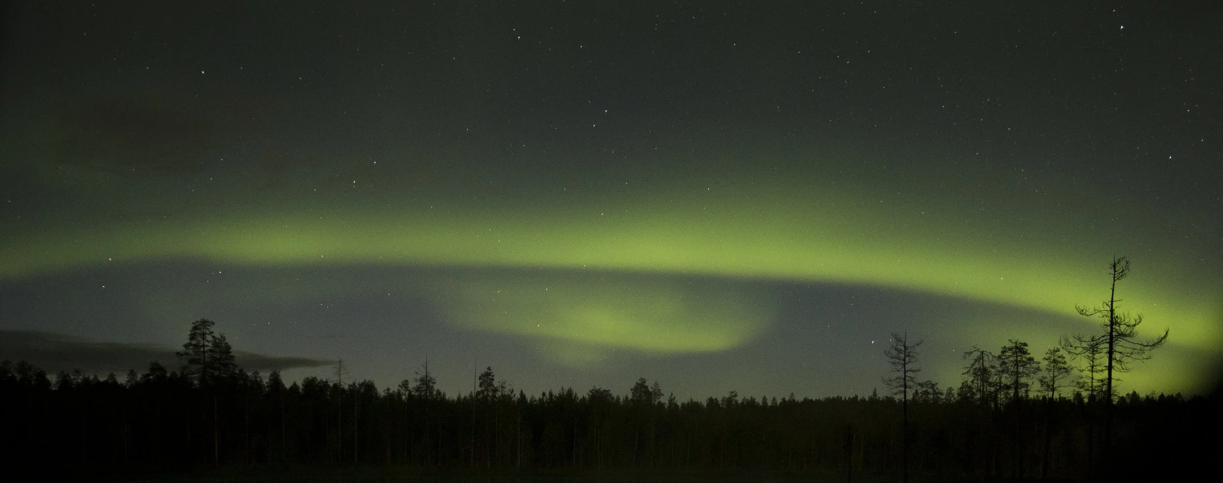 The Aurora Borealis as photographed from one of the North-facing hides.