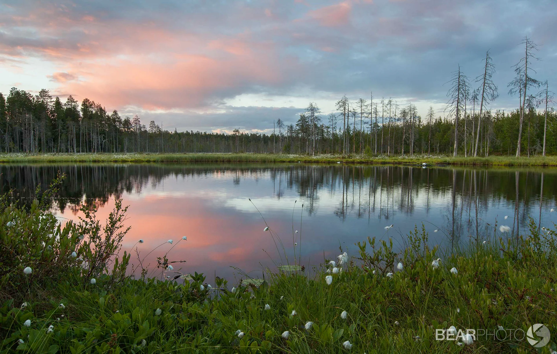 Sunset over the main lake in the hide area, on a serene midsummer evening.