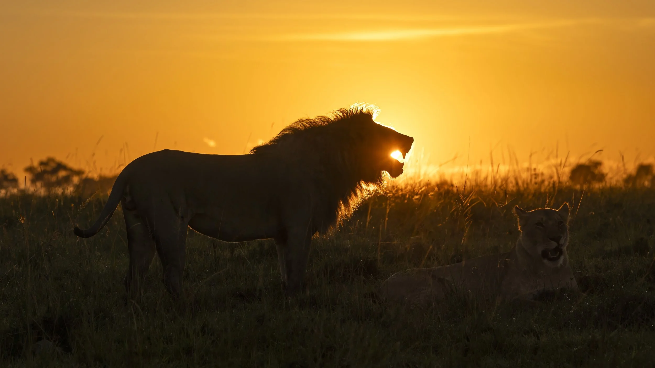 Photo- Roger Brendhagen-1-20-topaz.jpg